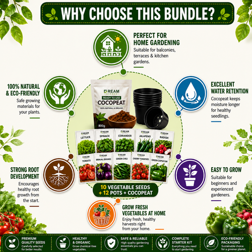 10 Types of F1 Hybrid All Season Vegetable Seeds + Ready-to-Use Cocopeat