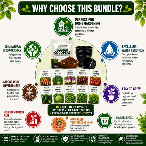 10 Types of F1 Hybrid winter Season Vegetable Seeds + Ready-to-Use Cocopeat + Pots