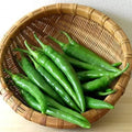 F1 Hybrid Green Chili (سبز مرچ) 15+ Seeds