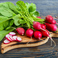 Red Radish (لال مولی) 50+ Seeds