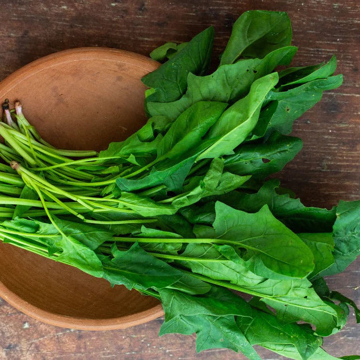 Spinach (پالک) 300+ Seeds