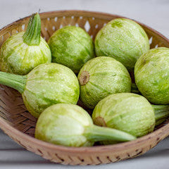 F1 Hybrid Round Gourd (گھیا کدو) 7 Seeds