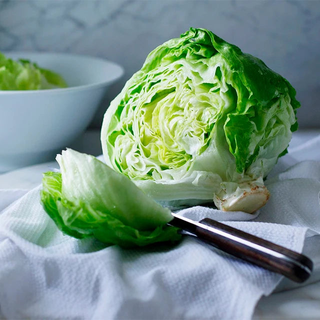 Iceberg (آئس برگ سلاد) 50+ Seeds