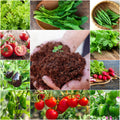 10 Types of F1 Hybrid All Season Vegetable Seeds + Ready-to-Use Cocopeat
