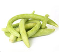 Imported American Cucumber (تر) 20+ Seeds