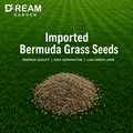 Imported Bermuda Grass Seeds
